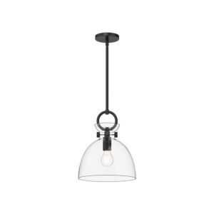 Waldo 1-Light Pendant in Matte Black with Clear Glass