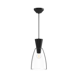 Arlo 1-Light Pendant in Matte Black with Clear Glass