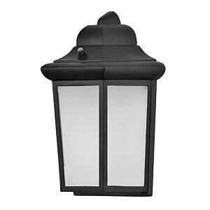Patriot LED Outdoor Wall Sconce in Black