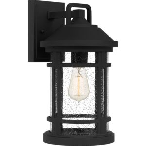 Quincy 1-Light Outdoor Wall Mount in Earth Black