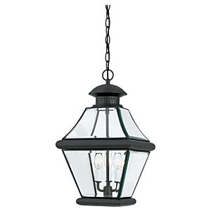 Rutledge 3-Light Outdoor Hanging Lantern in Mystic Black