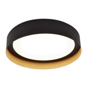 Reveal LED Flush Mount in Black & Gold