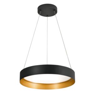 Reveal LED Pendant in Black & Gold
