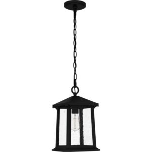 Satterfield 1-Light Outdoor Hanging Lantern in Matte Black