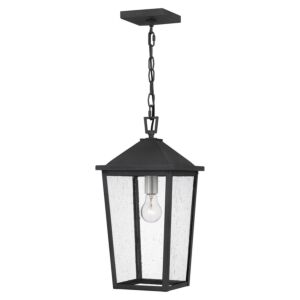 Stoneleigh 1-Light Outdoor Hanging Lantern in Mottled Black