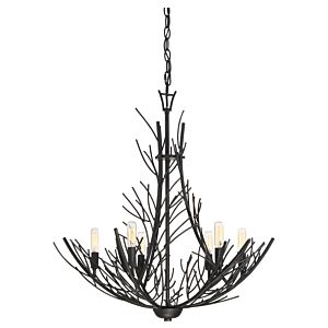 Quoizel Thornhill 6 Light 27 Inch Transitional Chandelier in Marcado Black