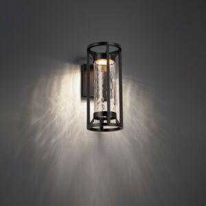 Roslyn 1-Light LED Outdoor Wall Sconce in Black