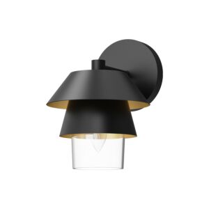Tetsu 1-Light Wall Sconce in Matte Black with Clear Glass