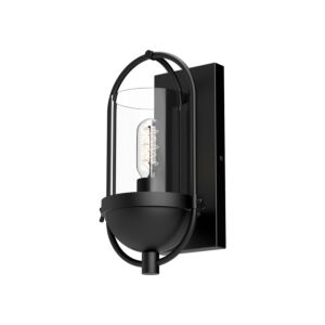Cyrus 1-Light Bathroom Vanity Light in Matte Black with Clear Glass