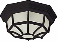 Crown Hill 2-Light Outdoor Ceiling Mount in Black