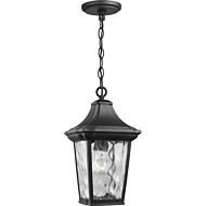 Marquette 1-Light Hanging Lantern in Black