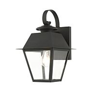 Wentworth 1-Light Outdoor Wall Lantern in Black w with Brushed Nickel Cluster