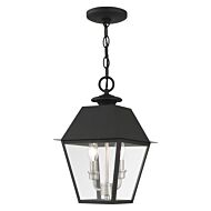 Wentworth 2-Light Outdoor Pendant in Black w with Brushed Nickel Cluster