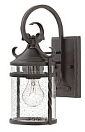 Hinkley Casa 1-Light Outdoor Light In Olde Black With Clear Seedy Glass