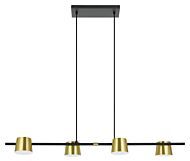 Altamira 4-Light LED Linear Pendant in Structured Black & Brass
