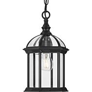 Dillard 1-Light Outdoor Hanging Lantern in Black