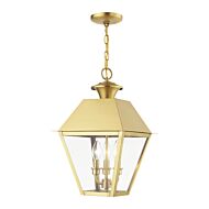 Wentworth 3-Light Outdoor Pendant in Natural Brass