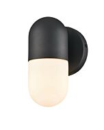 DVI Capsule Outdoor 1-Light Wall Sconce in Black
