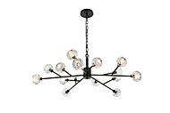 Graham 15-Light Pendant in Black and Clear