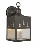 Yosemite 1-Light Outdoor Wall Mount in Burnished Bronze
