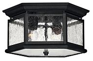 Hinkley Edgewater 2-Light Flush Mount Outdoor Ceiling Light In Black