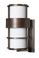 Hinkley Saturn 1-Light Outdoor Light In Metro Bronze