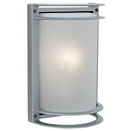 Access Nevis 11 Inch Outdoor Wall Light in Satin