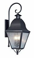 Amwell 4-Light Outdoor Wall Lantern in Black
