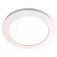 Access Disc Ceiling Light in White