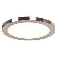 Access Disc Ceiling Light in Brushed Steel