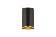 Z-Lite Arlo 1-Light Flush Mount Ceiling Light In Matte Black With Rubbed Brass