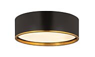 Z-Lite Arlo 4-Light Flush Mount Ceiling Light In Matte Black With Rubbed Brass