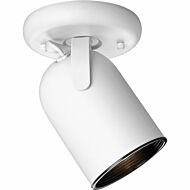 Directional 1-Light Wall with Ceiling Mount in White