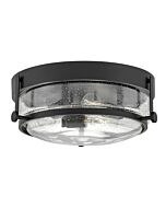 Hinkley Harper 3-Light Flush Mount Ceiling Light In Black With Clear Seedy Glass