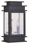 Princeton 2-Light Outdoor Wall Lantern in Bronze w with Polished Chrome Stainless Steel