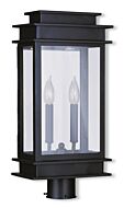 Princeton 2-Light Outdoor Post Lantern in Bronze w with Polished Chrome Stainless Steel