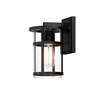 Clyde Vivex 1-Light Outdoor Wall Sconce in Black