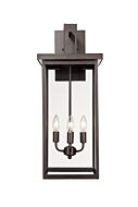 Barkeley 4-Light Outdoor Wall Sconce in Powder Coated Bronze