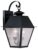 Mansfield 2-Light Outdoor Wall Lantern in Black