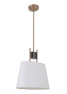 Craftmade Parker 10 Inch Pendant Light in Fired Steel with Satin Brass