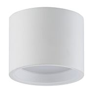 Access Reel Ceiling Light in White