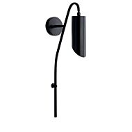 Trentino 1-Light Wall Sconce in Black
