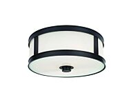 Hudson Valley Patterson 3 Light Ceiling Light in Old Bronze