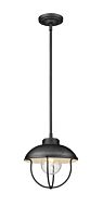 Z-Lite Ansel 1-Light Outdoor Pendant Light In Black