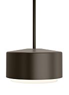 Tech Roton 7 Inch Outdoor Hanging Light in Bronze