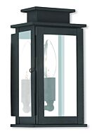 Princeton 1-Light Outdoor Wall Lantern in Black w with Polished Chrome Stainless Steel