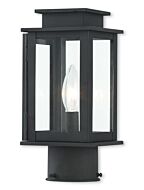 Princeton 1-Light Outdoor Post-Top Lanterm in Bronze w with Polished Chrome Stainless Steel