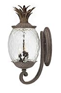 Lanai 3-Light Wall Sconce in Black Coral