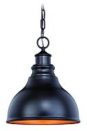 Delano 1-Light Outdoor Pendant in Oil Burnished Bronze and Light Gold