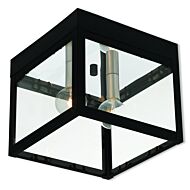 Nyack 2-Light Outdoor Ceiling Mount in Black w with Brushed Nickel Cluster